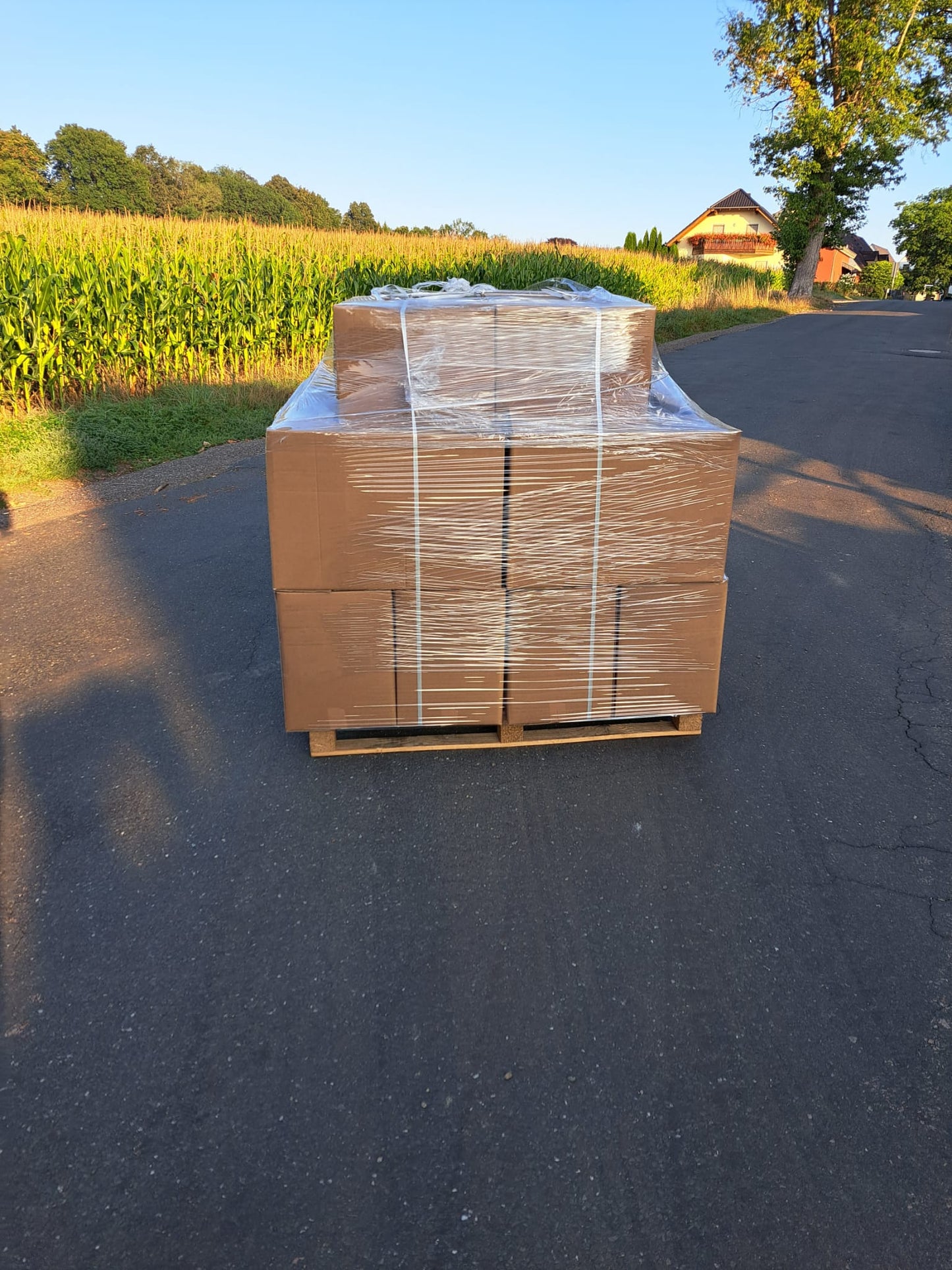 Kaminholz Buche in Kartons, zur sofortigen Verbrennung, Fein gespalten