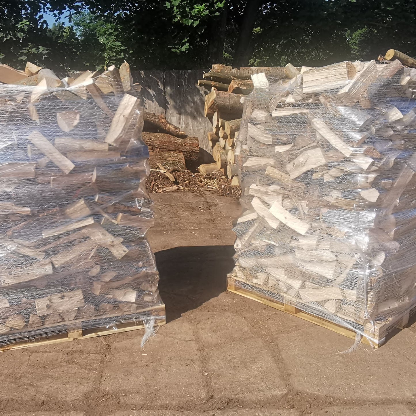 ANGEBOT Kaminholz Brennholz trocken, Schüttraummeter auf Palette inkl. 1 Sack Anzündhölzer ca.10 KG Zur sofortigen Verbrennung geeignet