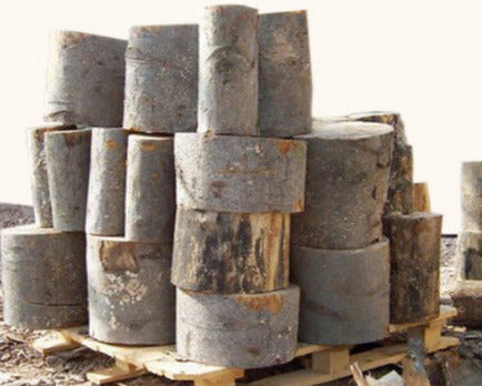 Baumabschnitte, zum Selbstspalten in 4 Holzarten