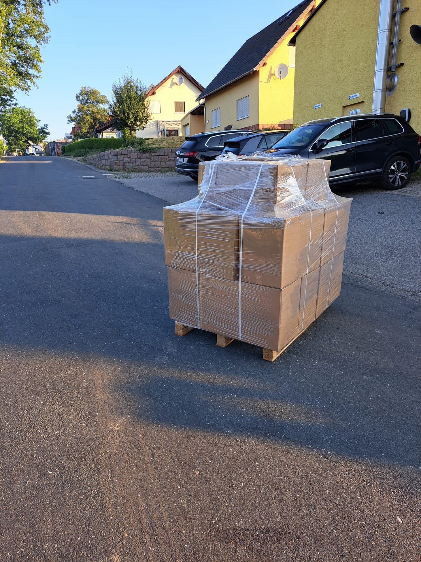 Kaminholz Buche in Kartons, zur sofortigen Verbrennung, Fein gespalten